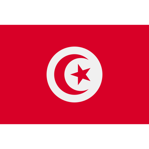 tunisia flag icon