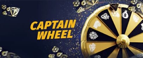 cwinz captain wheel